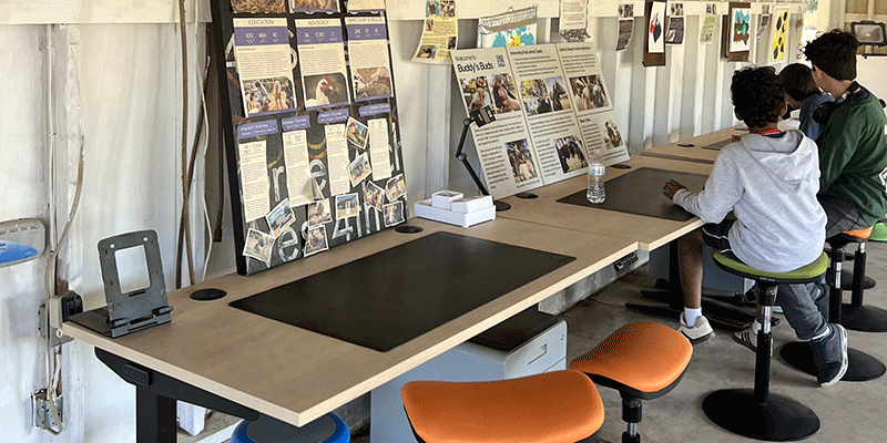 Austin Farm Sanctuary workspace featuring UPLIFT standing desks and kids seated on ergonomic stools.
